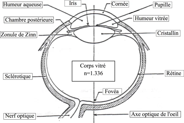 Oeil réel