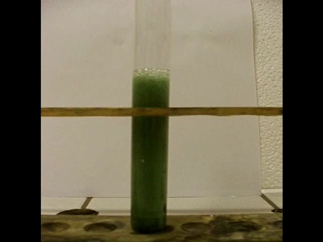 réaction entre les ions tartrates et l'eau oxygénée